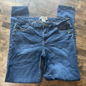 Democracy Dark Blue Jegging